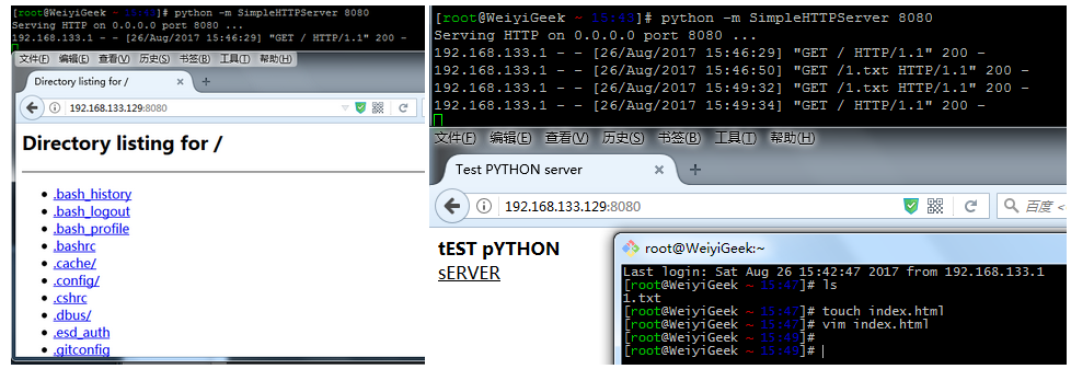 WeiyiGeek.python快速搭建web