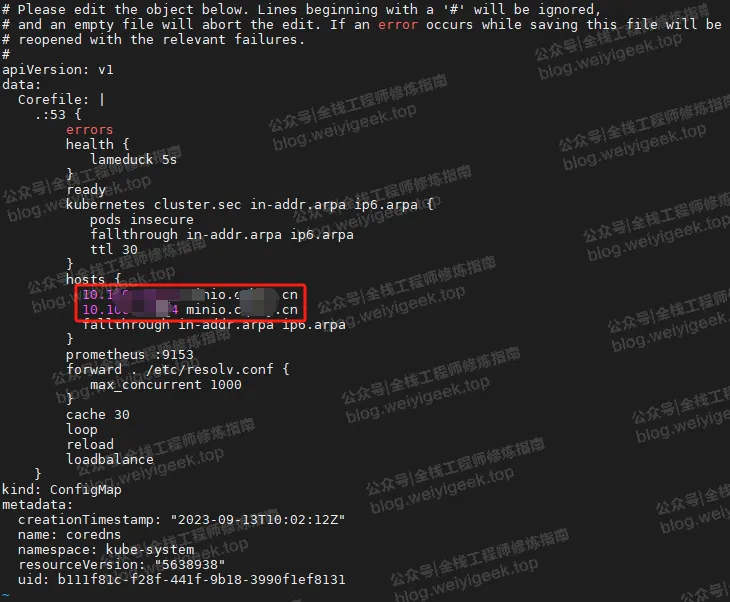 weiyigeek.top-kube-coredns解析修改图
